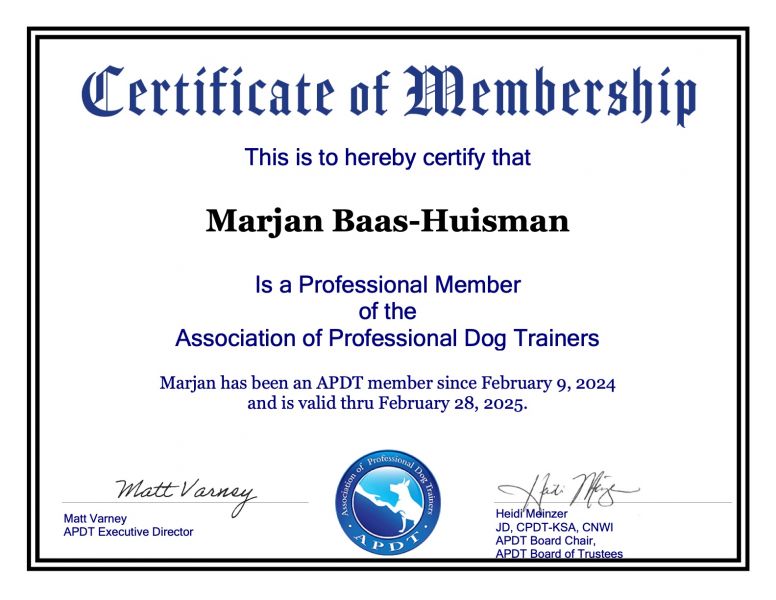 Professional member APDT